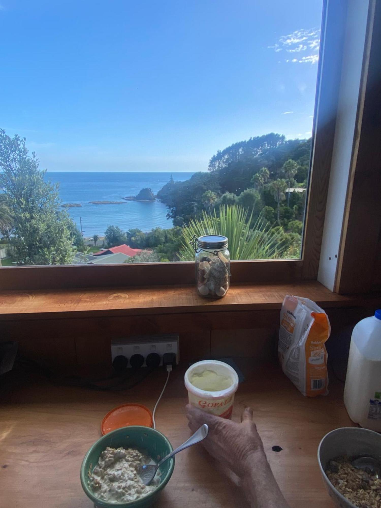 פאלם ביץ' Kereru Cabin - Spectacular Seaviews, Rustic, Glamping Eco Adventure מראה חיצוני תמונה