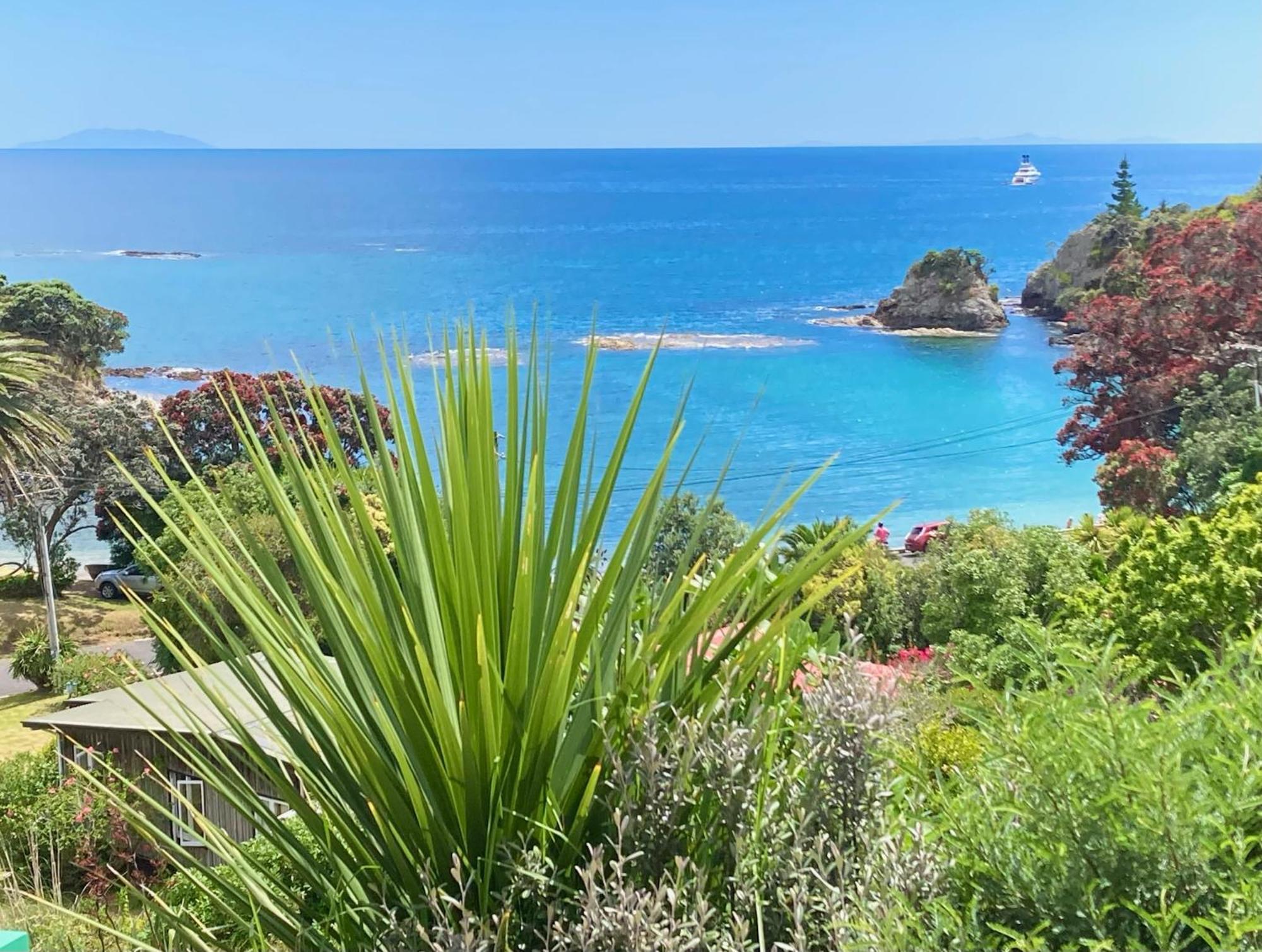 פאלם ביץ' Kereru Cabin - Spectacular Seaviews, Rustic, Glamping Eco Adventure מראה חיצוני תמונה
