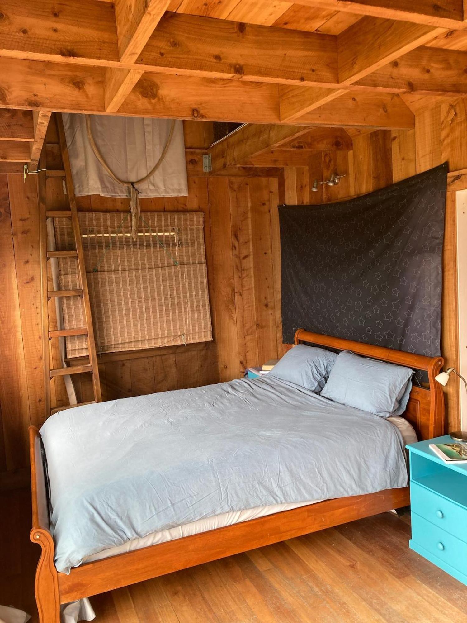 פאלם ביץ' Kereru Cabin - Spectacular Seaviews, Rustic, Glamping Eco Adventure מראה חיצוני תמונה